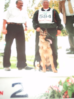 de gauchin verloingt - FLAMME VICE CHAMPIONNE DE FRANCE 2010 CLASSE PUPPY